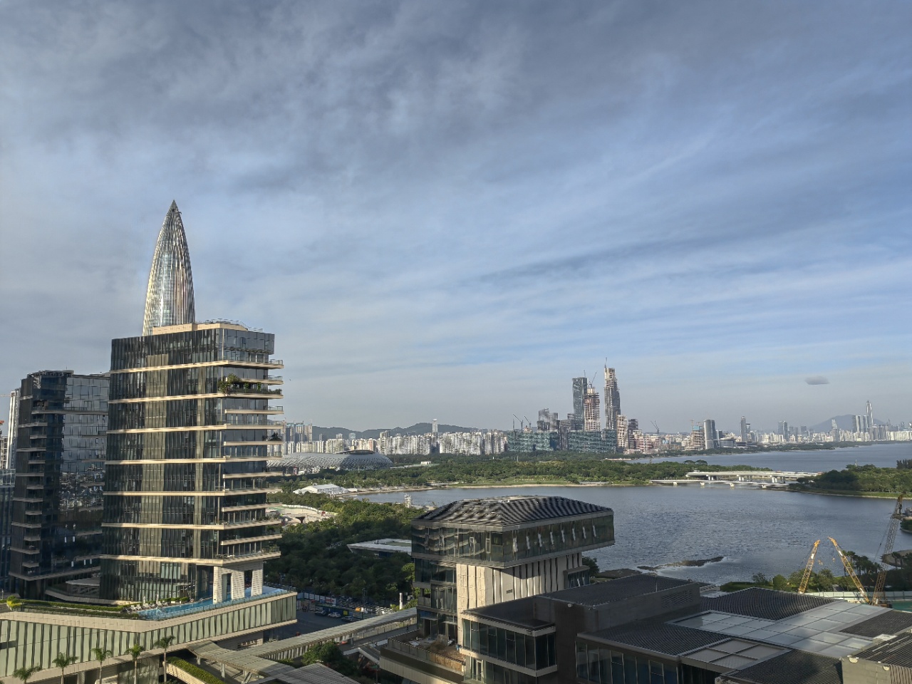 深圳湾1号 313平！